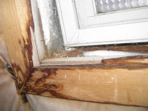 Water damage repairs are needed when windows leak water even when closed.
